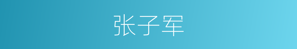 张子军的同义词