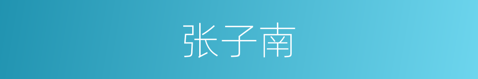 张子南的同义词