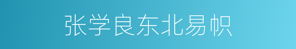 张学良东北易帜的同义词