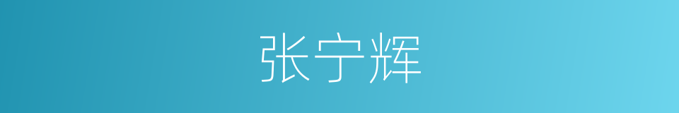 张宁辉的同义词