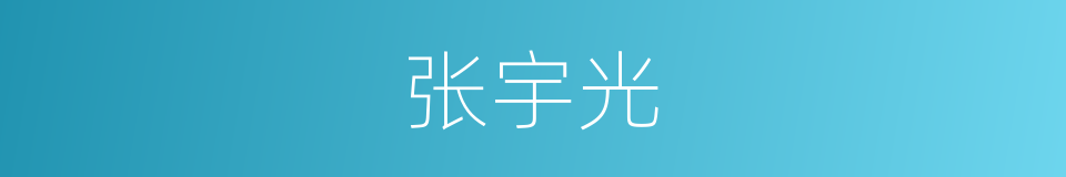 张宇光的同义词