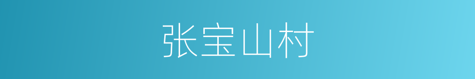 张宝山村的同义词
