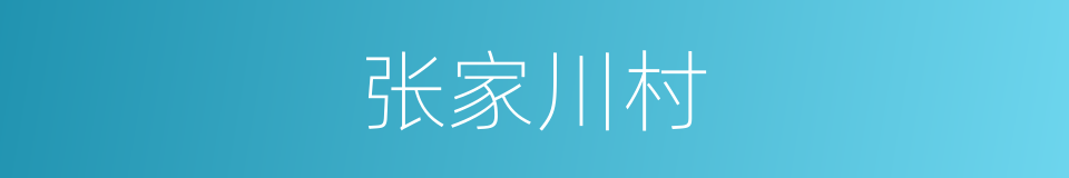 张家川村的同义词