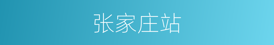 张家庄站的同义词
