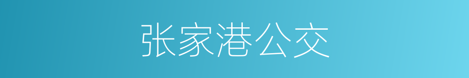 张家港公交的同义词