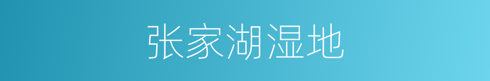 张家湖湿地的同义词