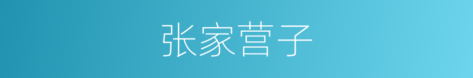 张家营子的同义词