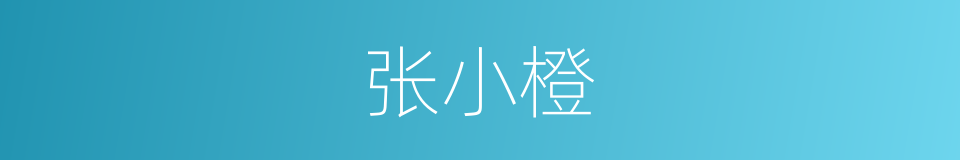 张小橙的同义词