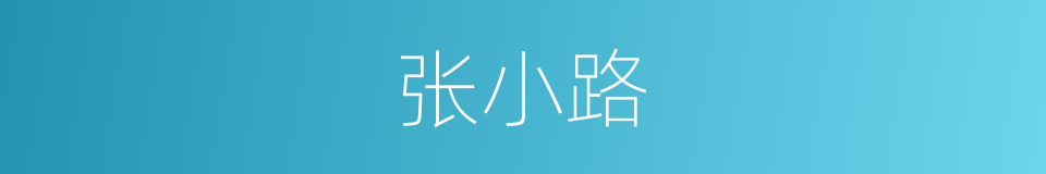 张小路的同义词