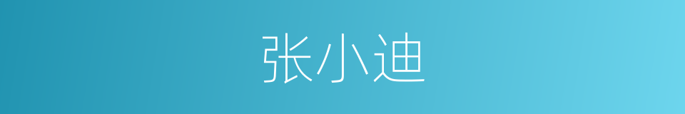 张小迪的同义词