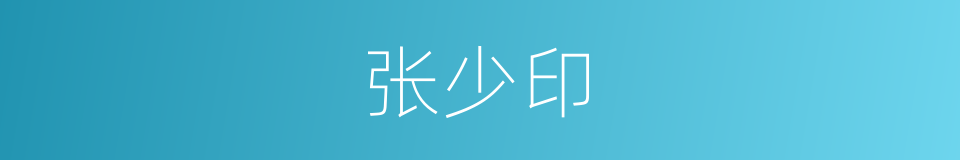 张少印的同义词
