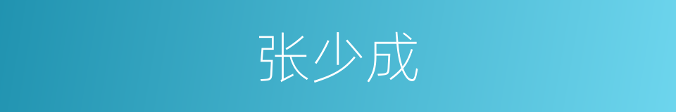张少成的同义词