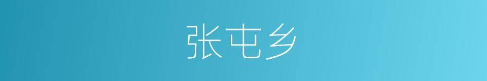 张屯乡的同义词