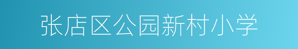 张店区公园新村小学的同义词