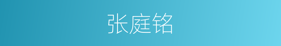 张庭铭的同义词