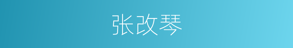 张改琴的同义词