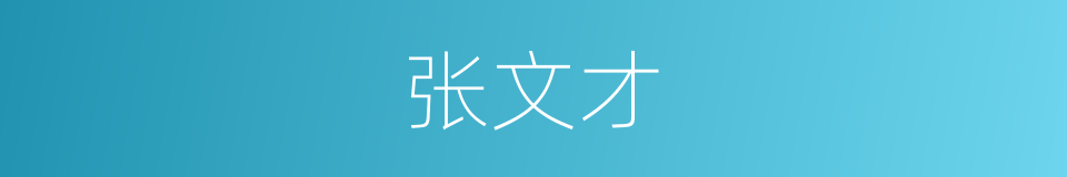 张文才的同义词