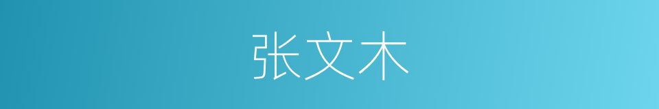 张文木的同义词
