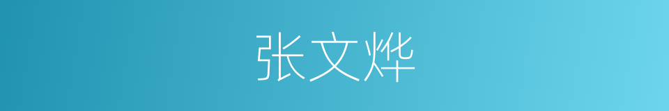 张文烨的同义词