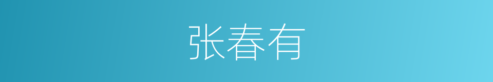 张春有的同义词