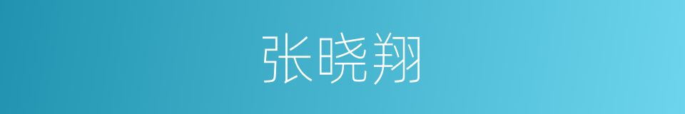 张晓翔的同义词