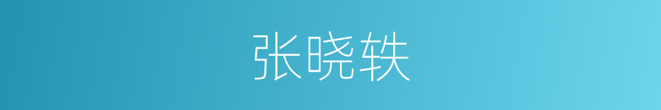张晓轶的同义词
