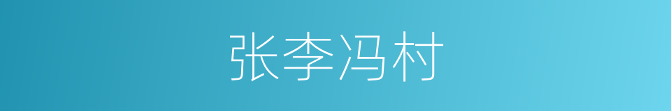 张李冯村的同义词
