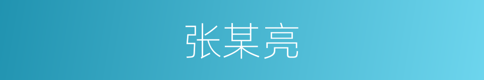 张某亮的同义词