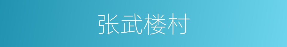 张武楼村的同义词