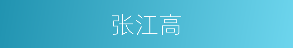 张江高的同义词