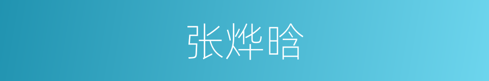 张烨晗的同义词