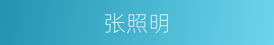 张照明的同义词