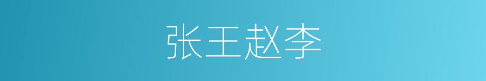 张王赵李的意思