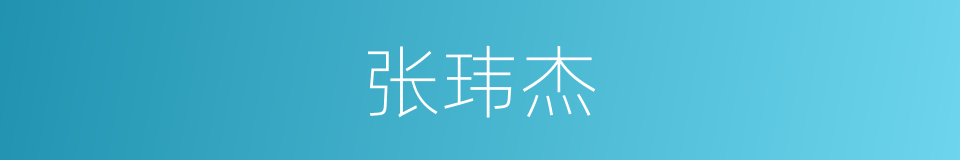 张玮杰的同义词