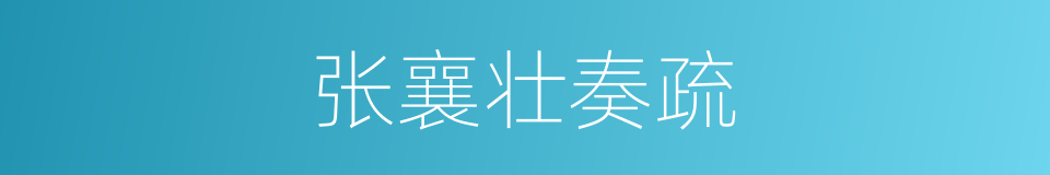 张襄壮奏疏的同义词