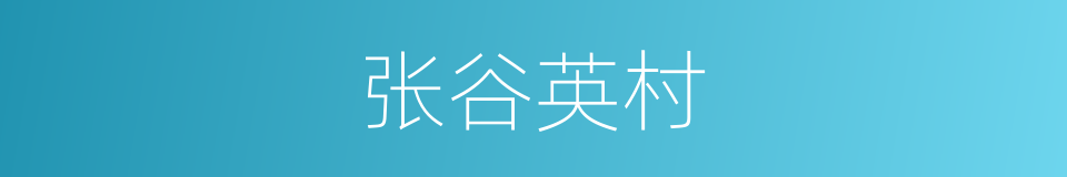 张谷英村的同义词