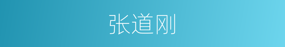 张道刚的同义词