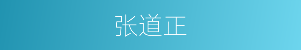 张道正的同义词