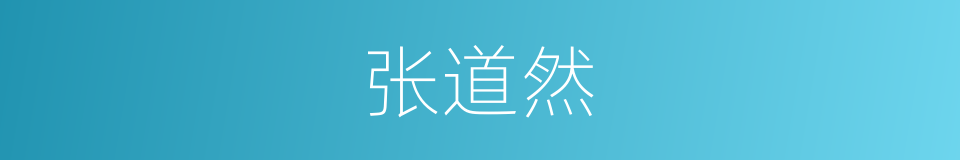 张道然的同义词