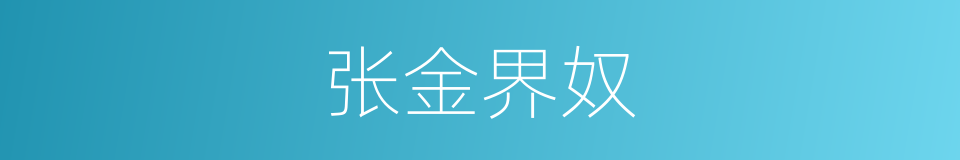 张金界奴的同义词