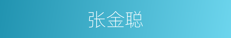 张金聪的同义词