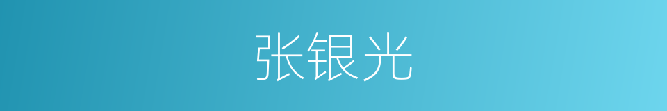 张银光的同义词