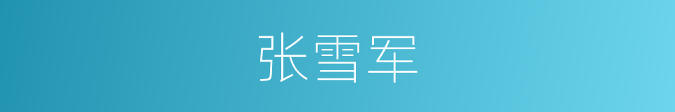 张雪军的同义词