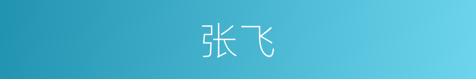 张飞的意思