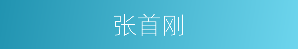 张首刚的同义词