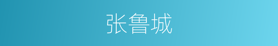 张鲁城的同义词