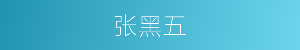 张黑五的同义词