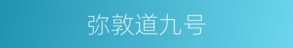 弥敦道九号的同义词