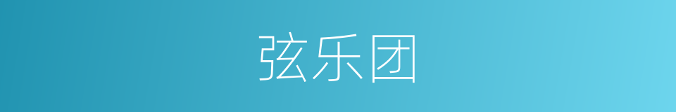 弦乐团的同义词