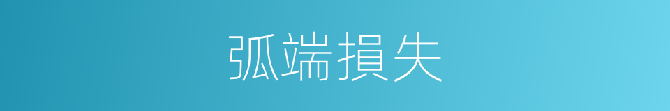 弧端損失的同義詞